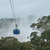 Image 10: Blue Mountains Main Attraction Private Daily Group Tours