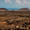Image 46: Fuerteventura Norte - Excursión de 4 horas con salida desde Corralejo