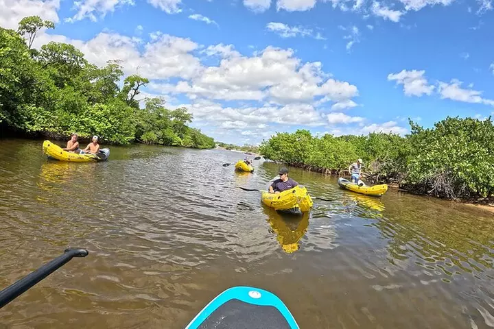 Fort Lauderdale: Kayak/SUP on Mangroves w/ Snacks & Drinks