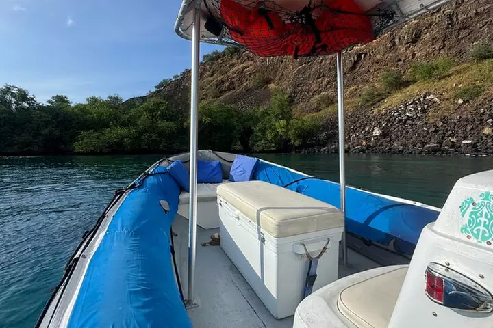 Private Charter Custom Kealakekua Bay Snorkeling - Primary Image