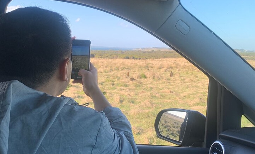 Image 7: Phillip Island Private Tour Penguins Wildlife and Scenic Views