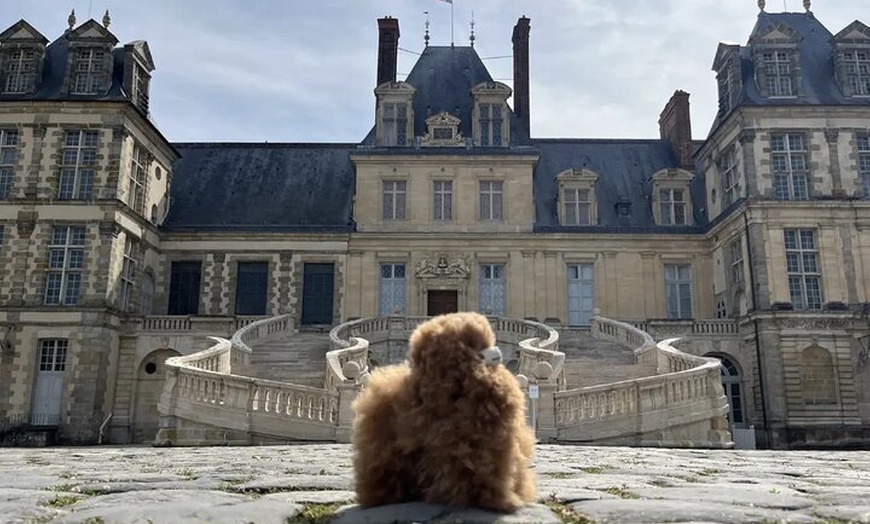 Image 3: Château DE Fontainebleau Excursion d'une demi-journée