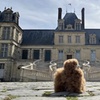 Image 3: Château DE Fontainebleau Excursion d'une demi-journée