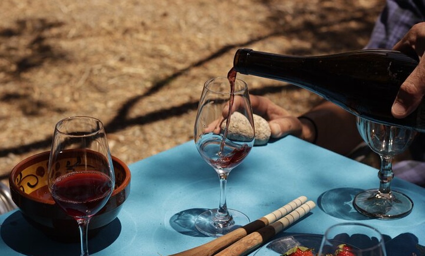 Image 7: Molino de aceite de Córdoba, vino, pasión