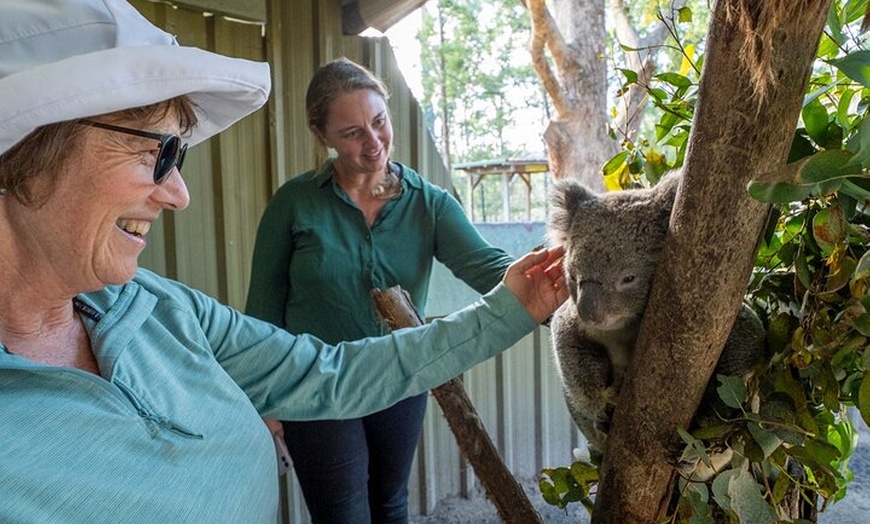 Image 6: Tour from Eden to Merimbula Wetlands Wildlife and Coastline