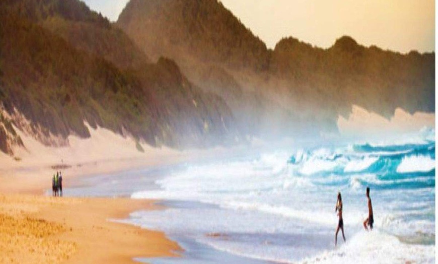 Image 8: ✈ AFRIQUE DU SUD | De Cap Town à Johannesburg - Acacia Afrique du S...