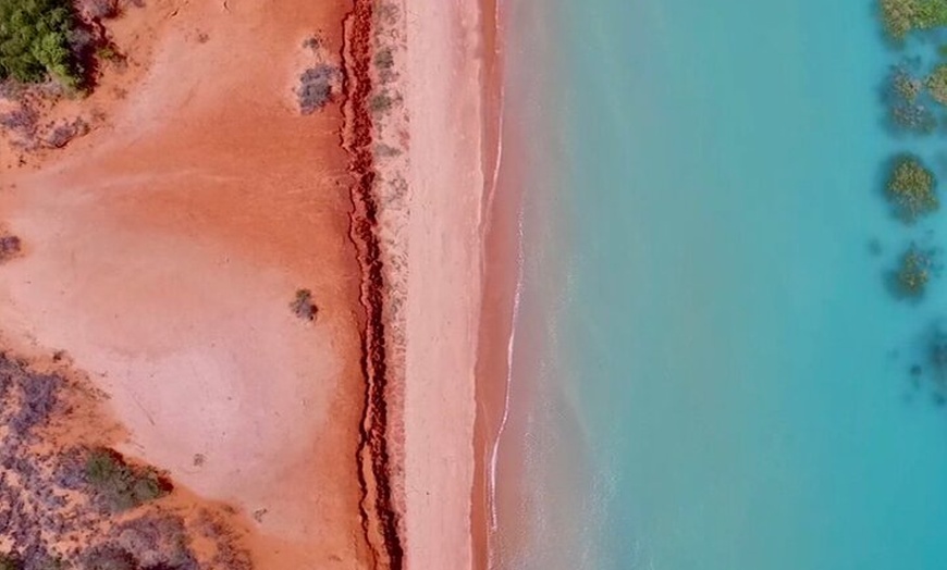 Image 11: Boab and Myrtle Chandon High Tea in Broome