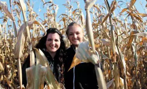 $42 For 4 Farmers Fare Admission Plus One Basket Of Farm Fresh Frie...