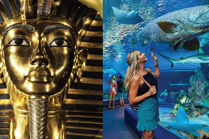 Tomb of the Pharaohs and Cairns Aquarium Combo - Primary Image
