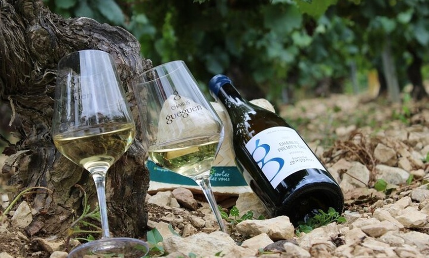 Image 5: Visite privée de dégustation de vins à Chablis Bourgogne au départ ...