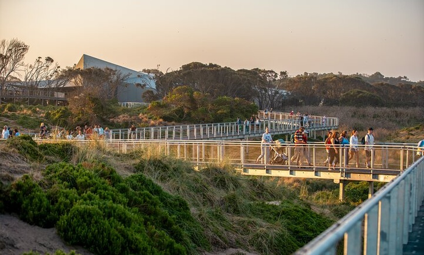 Image 13: Full-Day Phillip Island Tour with Kangaroo, Koala and Penguin Parade