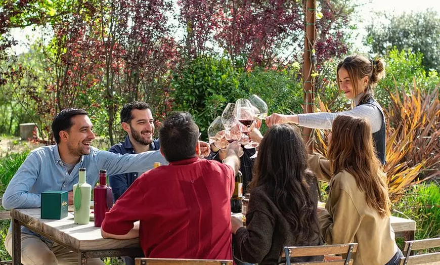 Image 3: Paseo entre viñas y cata de vinos en el Empordà