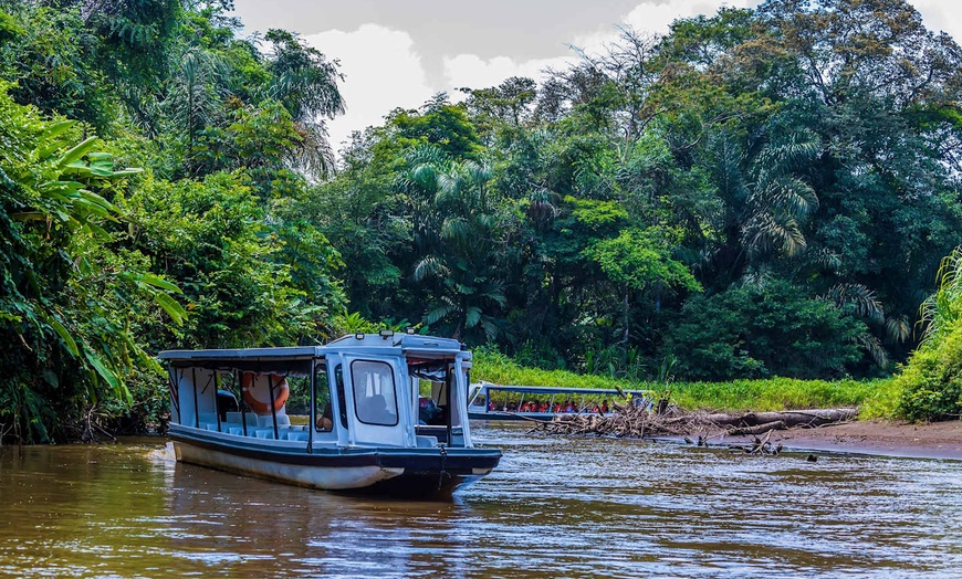 Image 4: ✈ COSTA RICA | San José - De la jungle aux côtes du Pacifique - Aut...