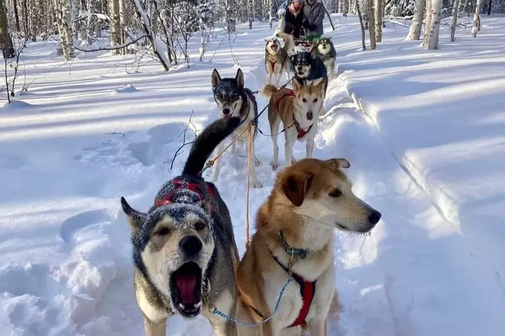 Signature Ridge Top Mush