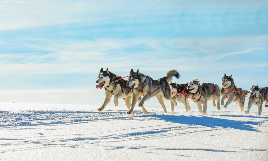 Image 2: ✈ FINLANDE | De Helsinki à Rovaniemi - Aventure Polaire 3* - Circuit