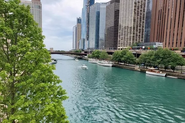 Luxury Minibus Chicago City Tour