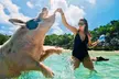 Exuma Island and Cays Tour - Second Medium