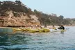 Mornington Peninsula Kayak Coastline Tour of Dolphin Sanctuary - Image 6