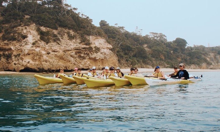 Image 6: Mornington Peninsula Kayak Coastline Tour of Dolphin Sanctuary