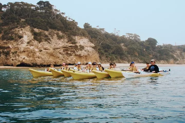 Mornington Peninsula Kayak Coastline Tour of Dolphin Sanctuary