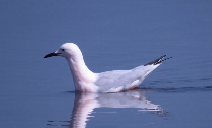 Image 2: Inmersión Holística en la Reserva de la Biosfera de les Terres de l...