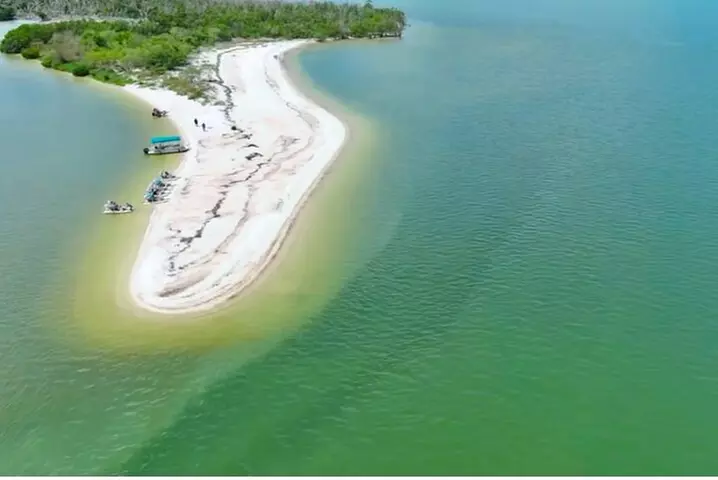 Manatee, Dolphin and 10,000 Islands Sunset Cruise!