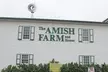 Amish Farm and House 1-Day Small Group with Max 12 Tour from D.C - Second Medium