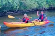 Bioluminescent Bay Kayak Tour in Fajardo Puerto Rico - Second Medium