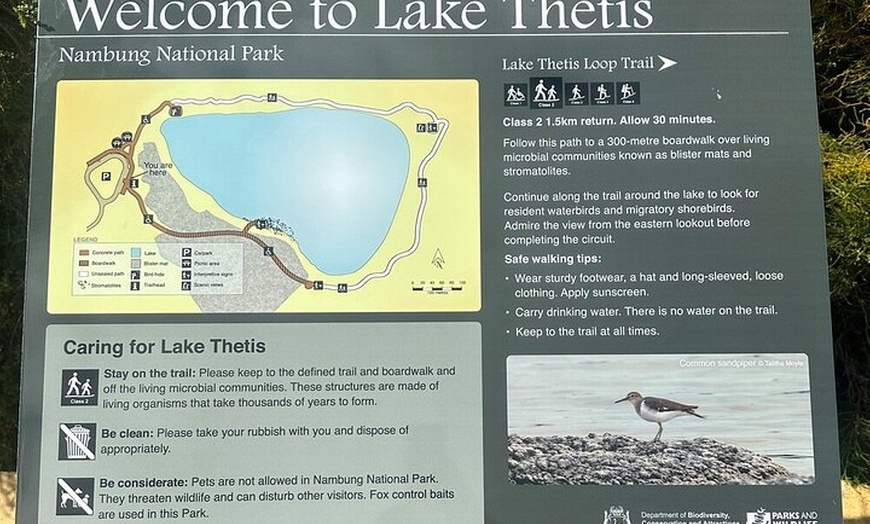 Image 12: Pinnacles Desert Lobster Tour from Perth