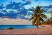 Private Tour to Key West - Second Medium