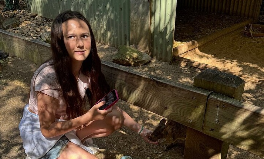 Image 33: PVT Guided Tour: Sydney Opera House and Featherdale Wildlife Park