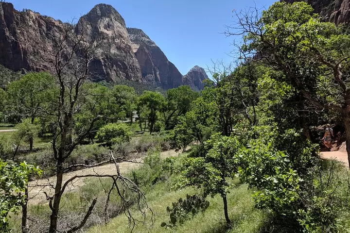 National Park Aerial Safari – 3 Day Private Tour