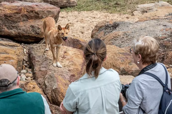 Sydney Taronga Zoo Wild Australia Experience
