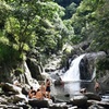 Image 13: Explorer Tour by Cairns Waterfalls