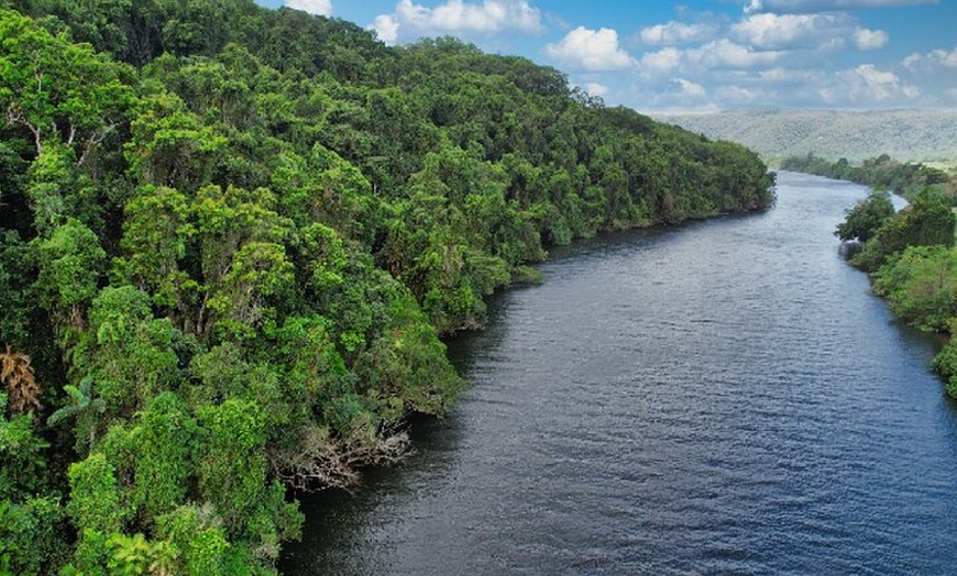 Image 6: Daintree River Cruise