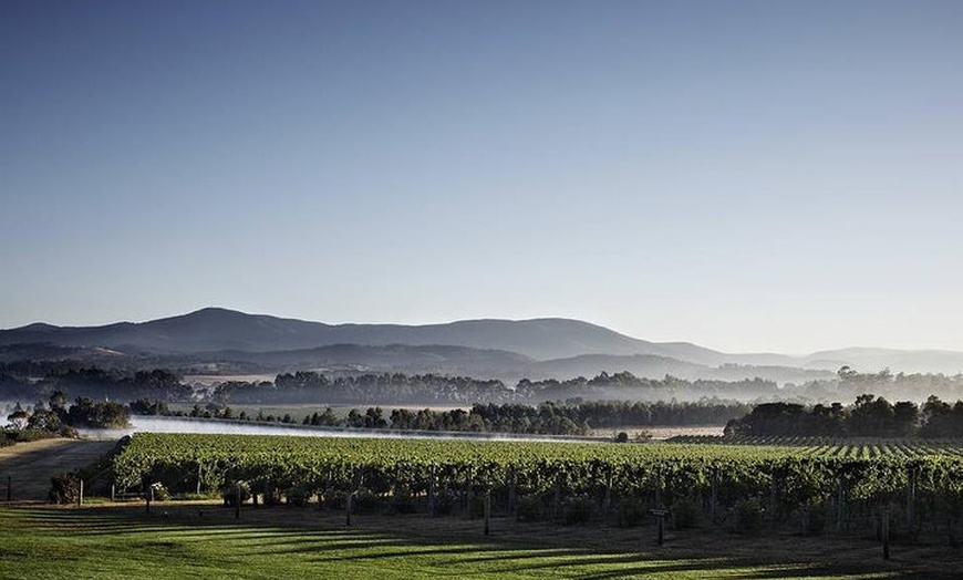 Image 2: Yarra Valley Exceptional - Private Day Tour - For 2 - with Lunch