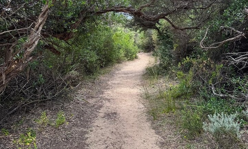 Image 2: Melbourne: Private Wilson Promontory National Park Day Tours