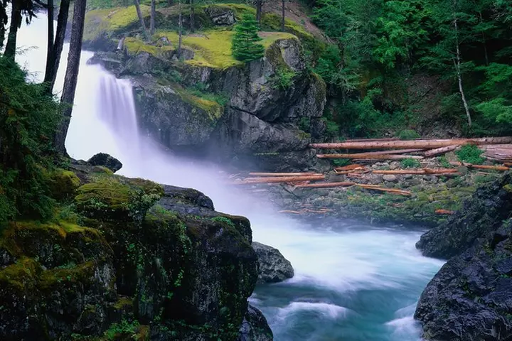 Mt. Rainier Day Tour from Seattle
