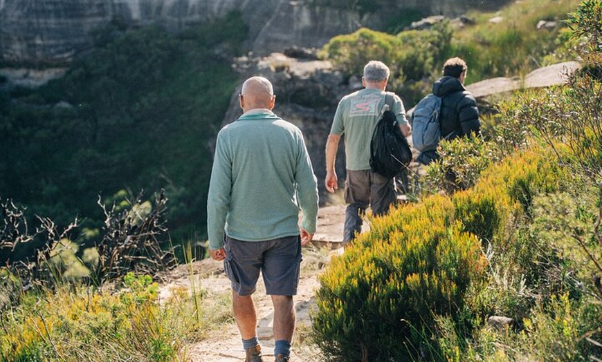 Image 5: Paddock-to Plate: Hike & Taste Sydney or the Blue Mountains