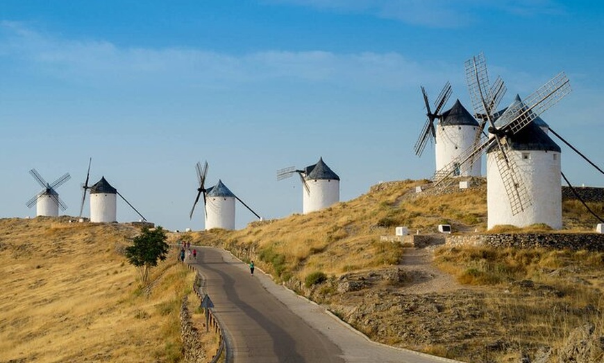 Image 9: Excursión privada de un día a Segovia y La Mancha Molinos de viento