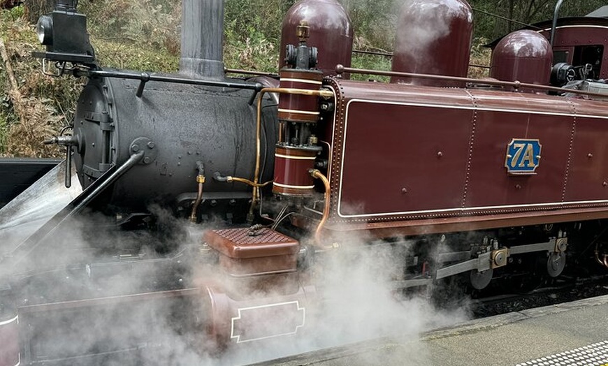 Image 7: Private Puffing Billy Steam Train and Healesville Sanctuary Tours