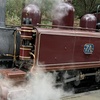 Image 7: Private Puffing Billy Steam Train and Healesville Sanctuary Tours
