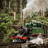 Image 2: Melbourne Puffing Billy Train and Penguin Parade Day Tour Escape