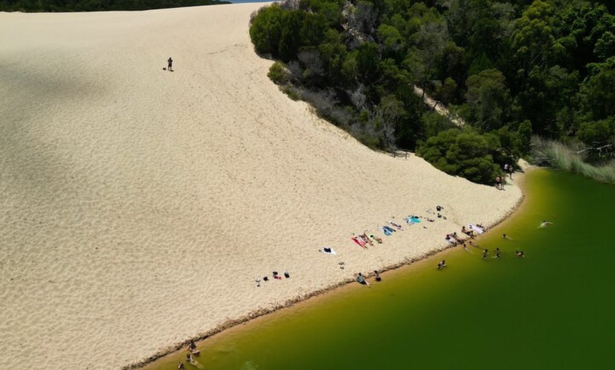 Image 16: Dingos 2 Day K'Gari (Fraser Island) 4WD Tag-Along Tour