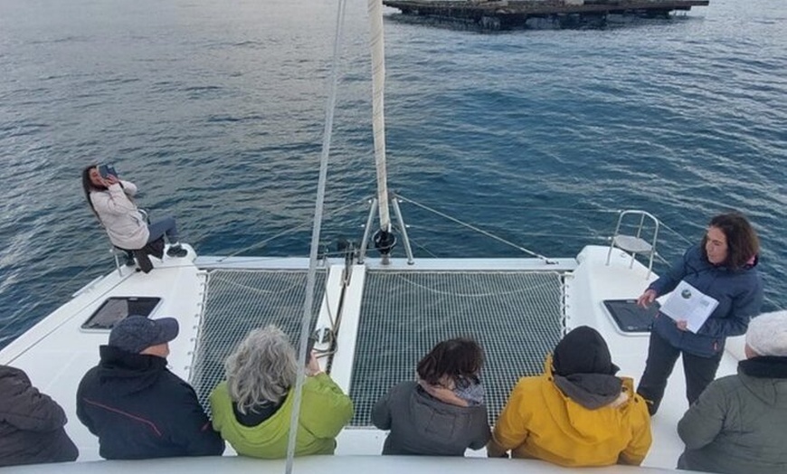 Image 3: Turismo Científico Completo en las Islas Cíes