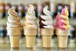 5% Cash Back at Swirlz Soft Serve Parlor - Second Medium