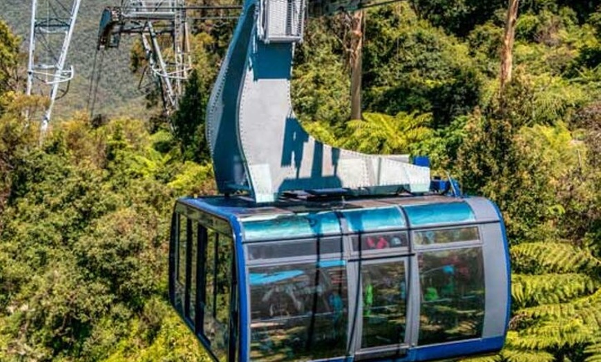 Image 13: Blue Mountains Day Tour -Scenic World, Koalas & Roos (10 ppl MAX)