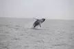 San Diego Whale/Dolphin Watching Cruise Aboard Luxury Vessel - Second Medium