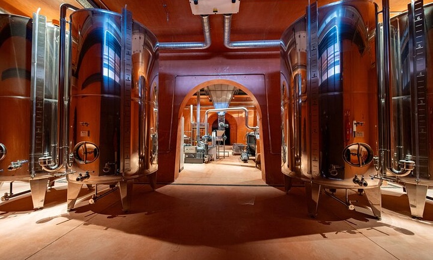 Image 6: LA Almazara Aceite de Oliva y Degustación con Audioguía