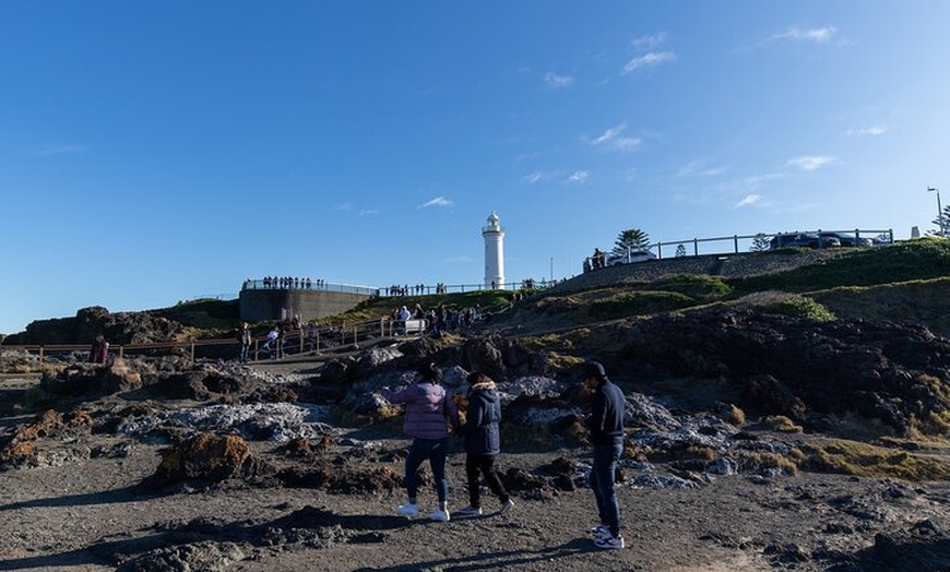 Image 5: Sydney South Coast Day Tour – Kiama Blowhole & Sea Cliff Bridge